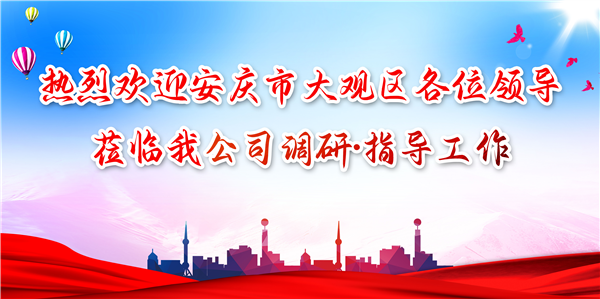 安慶市大觀區領導蒞臨我公司調研工作，為發展注入新動力